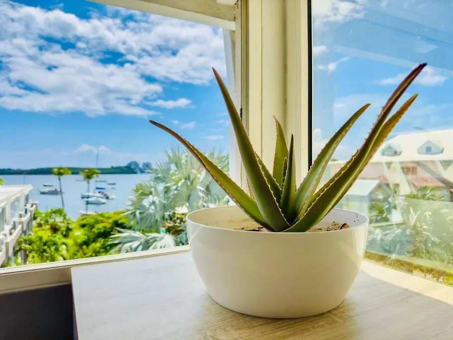 Spacious Waterfront 2 Bedroom Condo With 2 Bathrooms, Pool, Ac Baie Nettle 0*,  Sint Maarten